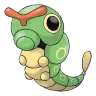 Caterpie