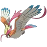 Pidgeot