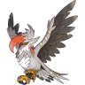 Staraptor