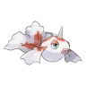 goldeen