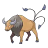 tauros