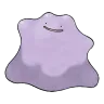 ditto