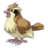 pidgey