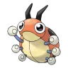 ledyba