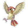 pidgeotto