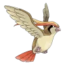 pidgeot