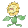 sunflora
