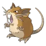 raticate