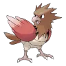 spearow
