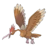 fearow