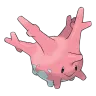 corsola