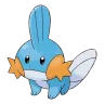mudkip