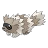Zigzagoon