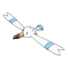 wingull