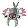 anorith