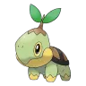 turtwig