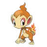 chimchar