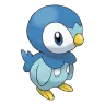 piplup
