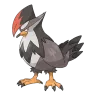 staraptor