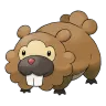 bidoof