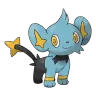 shinx