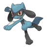 riolu