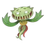 carnivine