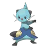 dewott