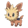 lillipup