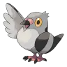 pidove