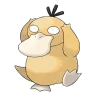 psyduck