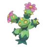 maractus