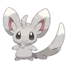 minccino