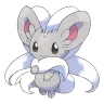 cinccino