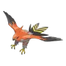 talonflame