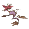 dragalge