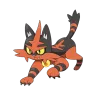 torracat