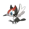 pikipek