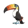 toucannon
