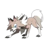 lycanroc midday