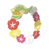 comfey