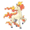 rapidash
