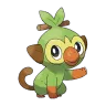 grookey