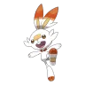 scorbunny