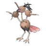 dodrio