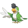 squawkabilly green plumage