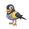wattrel