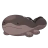 clodsire