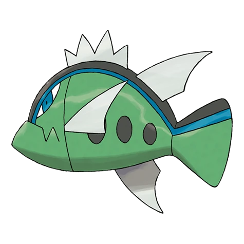 野蠻鱸魚（藍條紋的樣子）