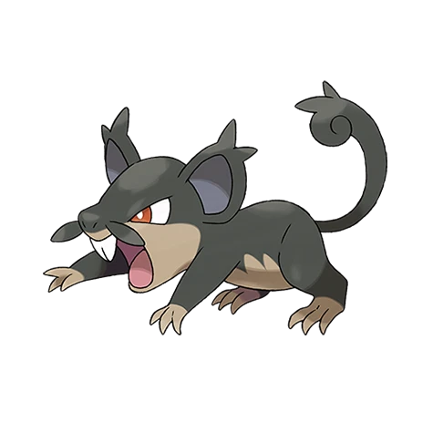 Rattata Alola(alola)